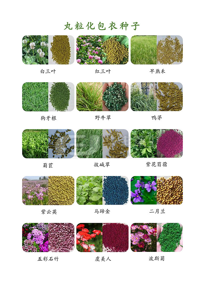 种子丸；庸