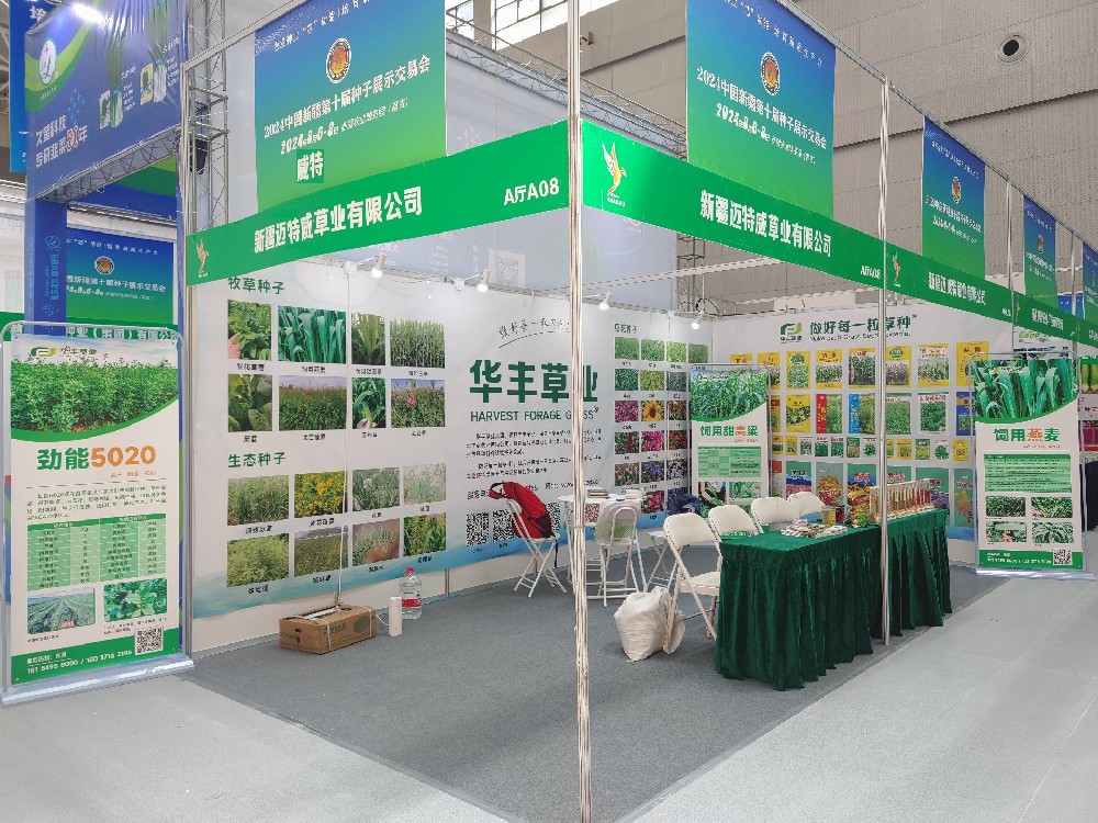 Z6尊龙凯时草业参与新疆第十届种子展示买卖会