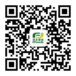 Z6尊龙凯时